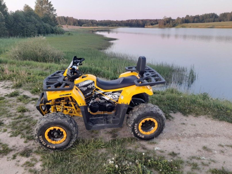 Квадроцикл Motoland Wild track Lux 200