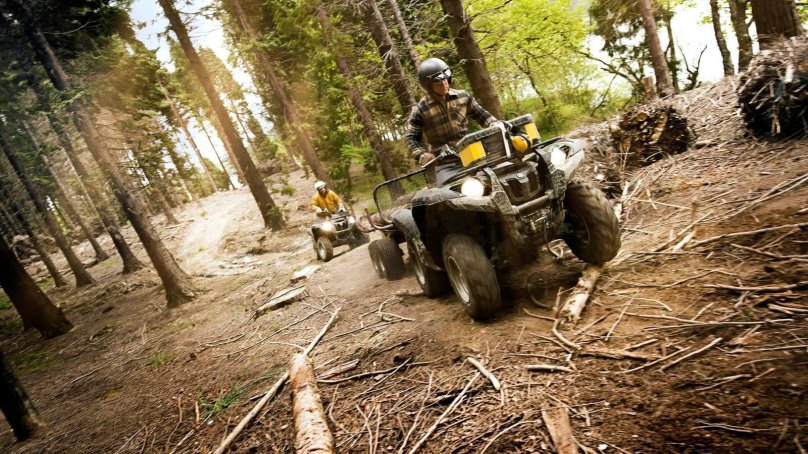 Grizzly 700 в лесу