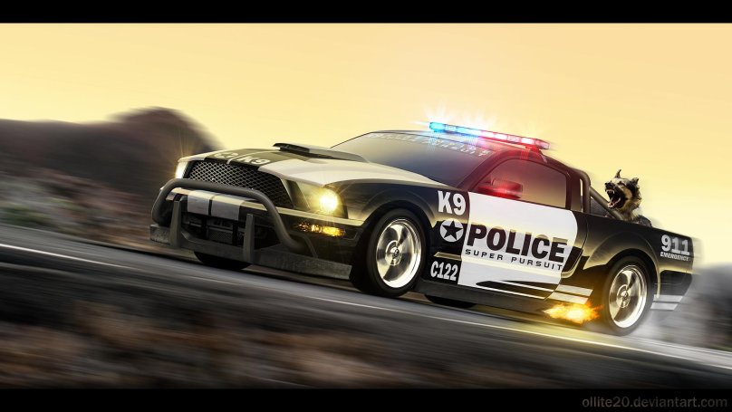 Ford Mustang Police
