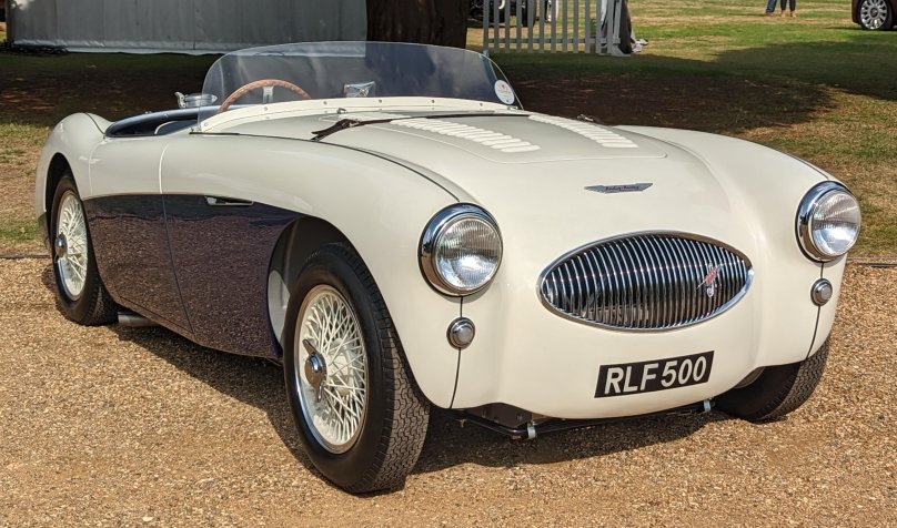 Austin-Healey 100 s