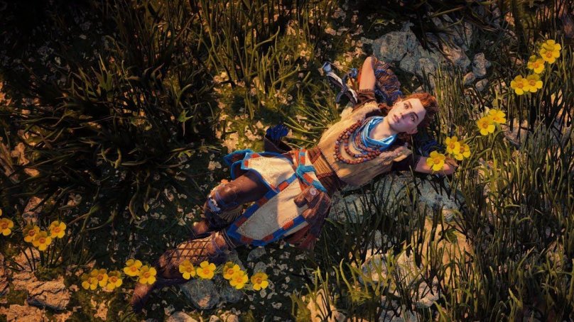 Элой хорайзон 2