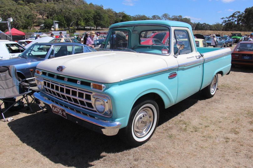 Ford f100 1965