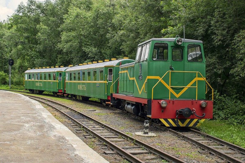 Узкоколейный вагон Пафаваг