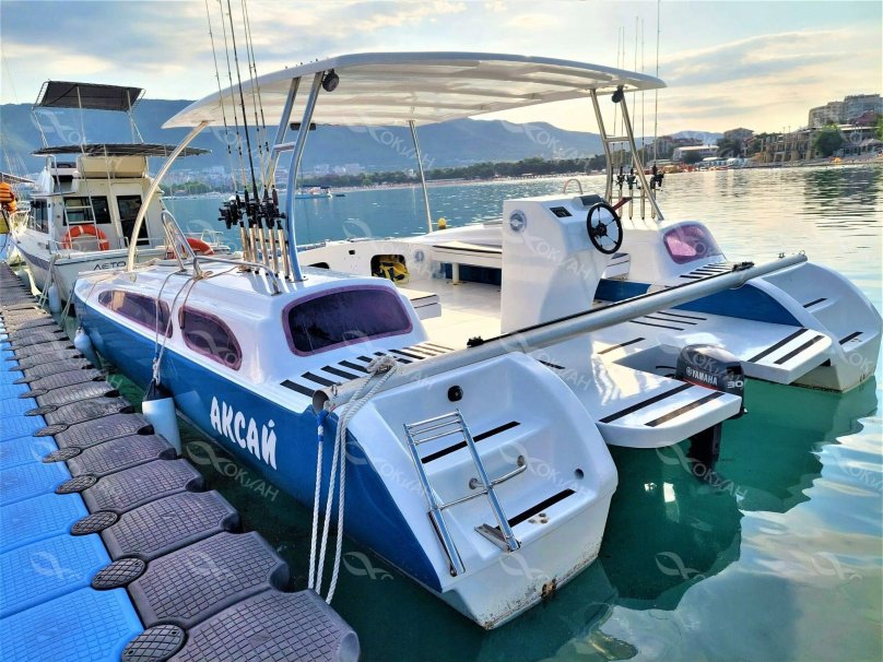 Моторный катамаран Aurora 33