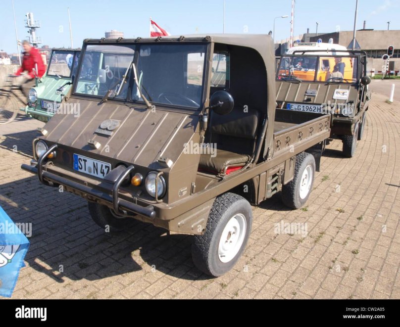 Штайер пух Хафлингер