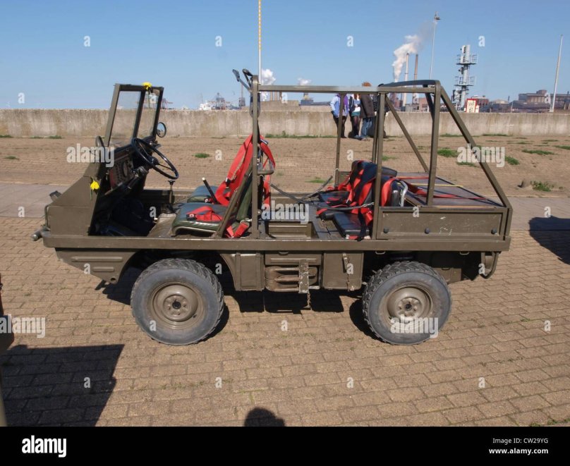 Штейр пух Хафлингер