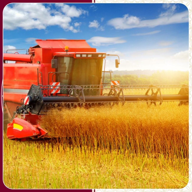 Комбайн в поле