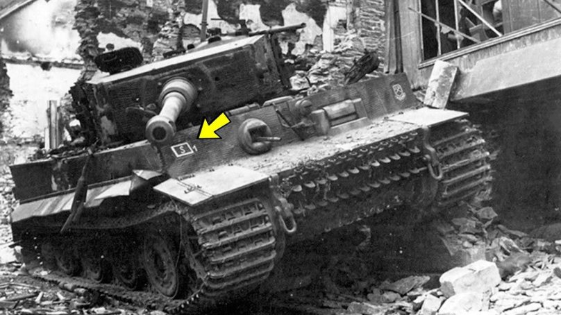 Тигр в Виллер бокаж