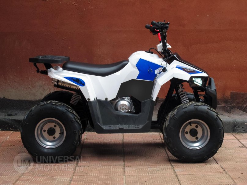 Квадроцикл Bison 110