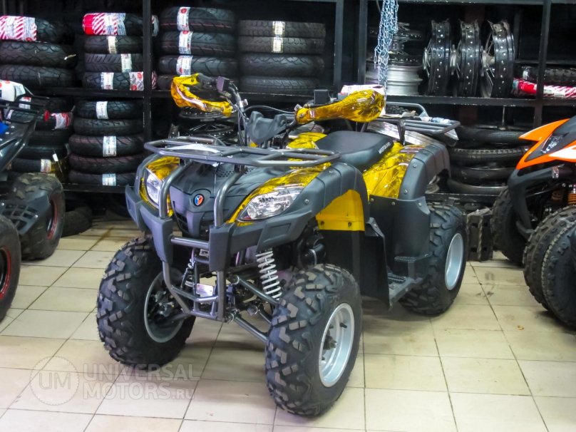 Квадроцикл Бизон 200