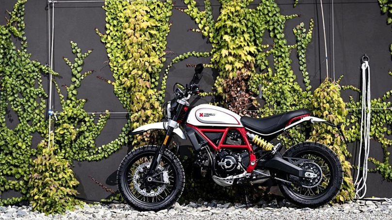 Ducati Scrambler 800