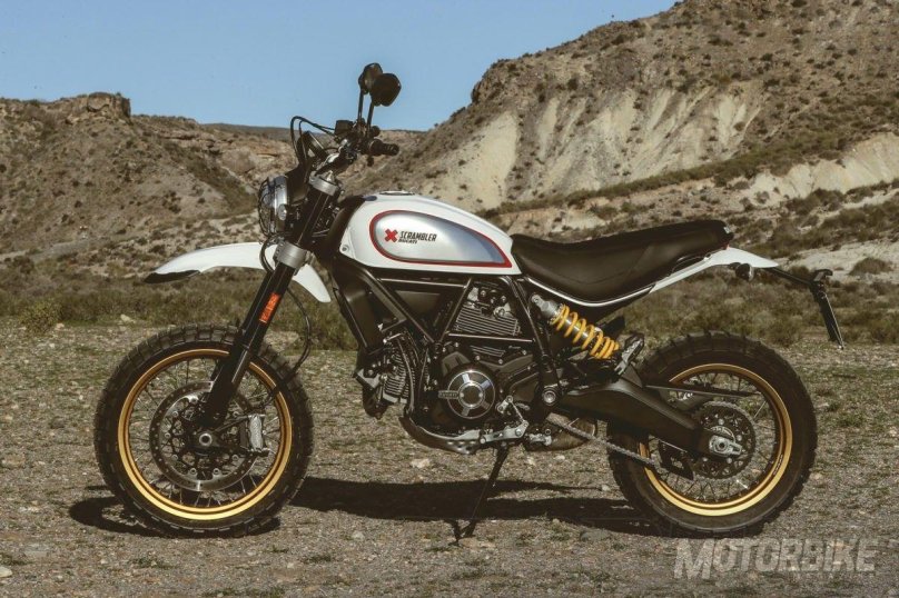 Ducati Desert Sled
