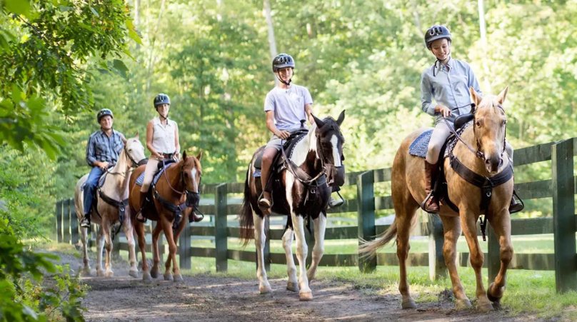 Хорс райдинг