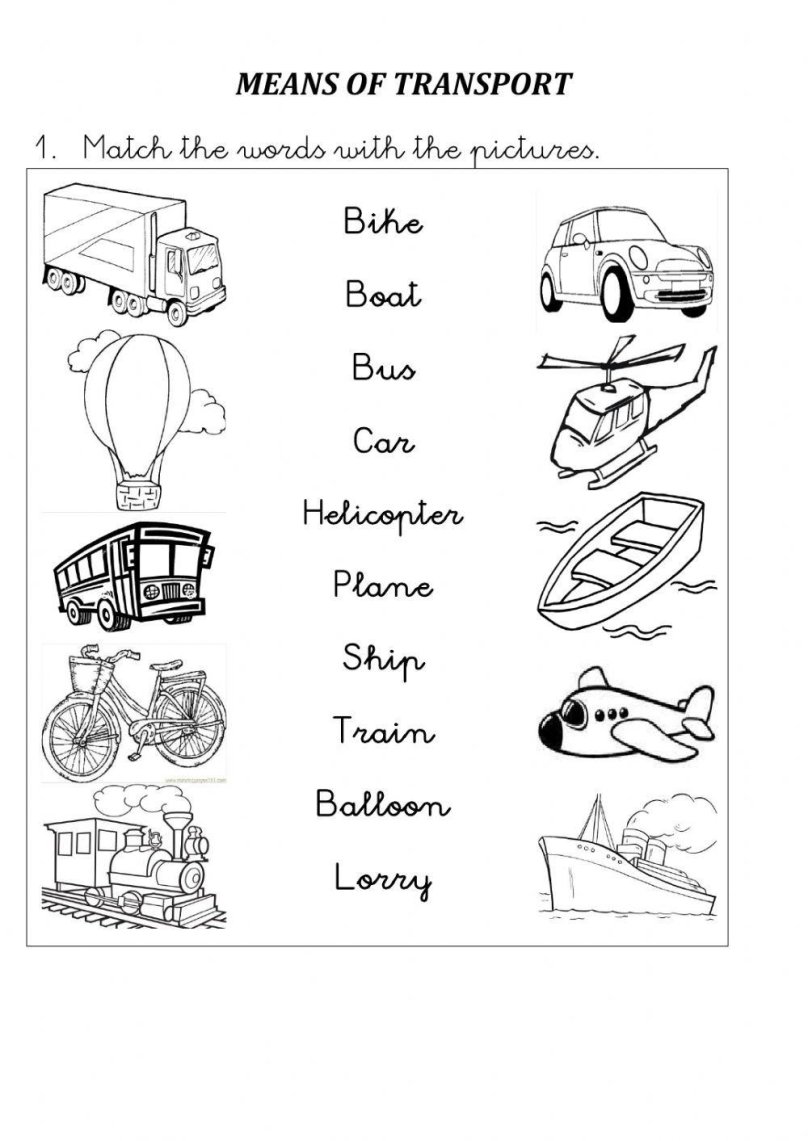 Means of transport Worksheets