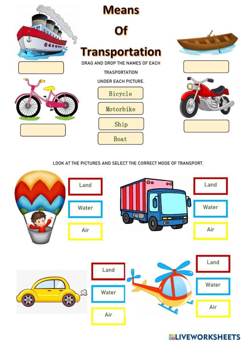 Mean of transport или means of transport