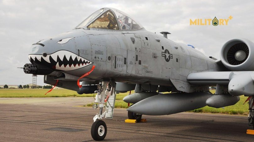 Штурмовик бородавочник а 10