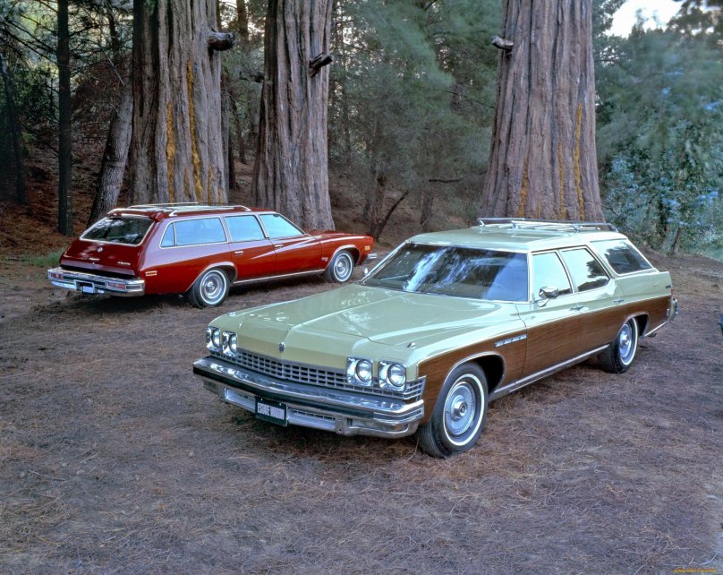 1974 Buick Estate Wagon