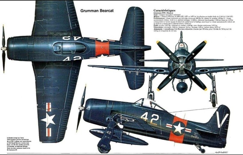 Самолет гркмман Биркет f8-f