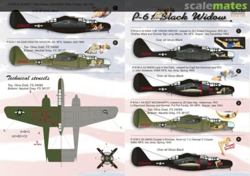 P-61 Black Widow 1/48