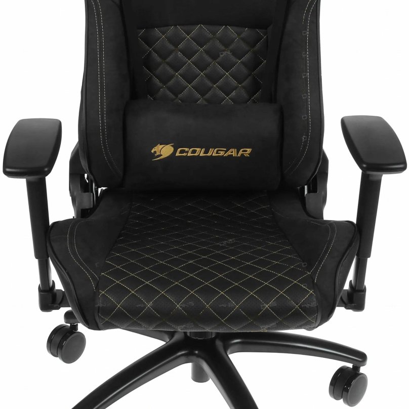 Cougar explore s Royal