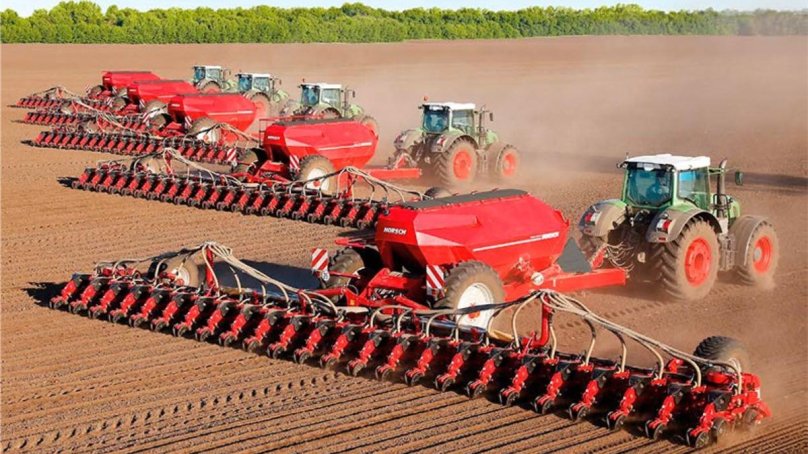 Хорш маэстро 24