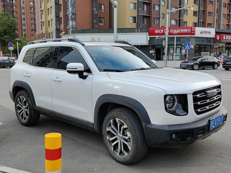 Хавейл Биг дог