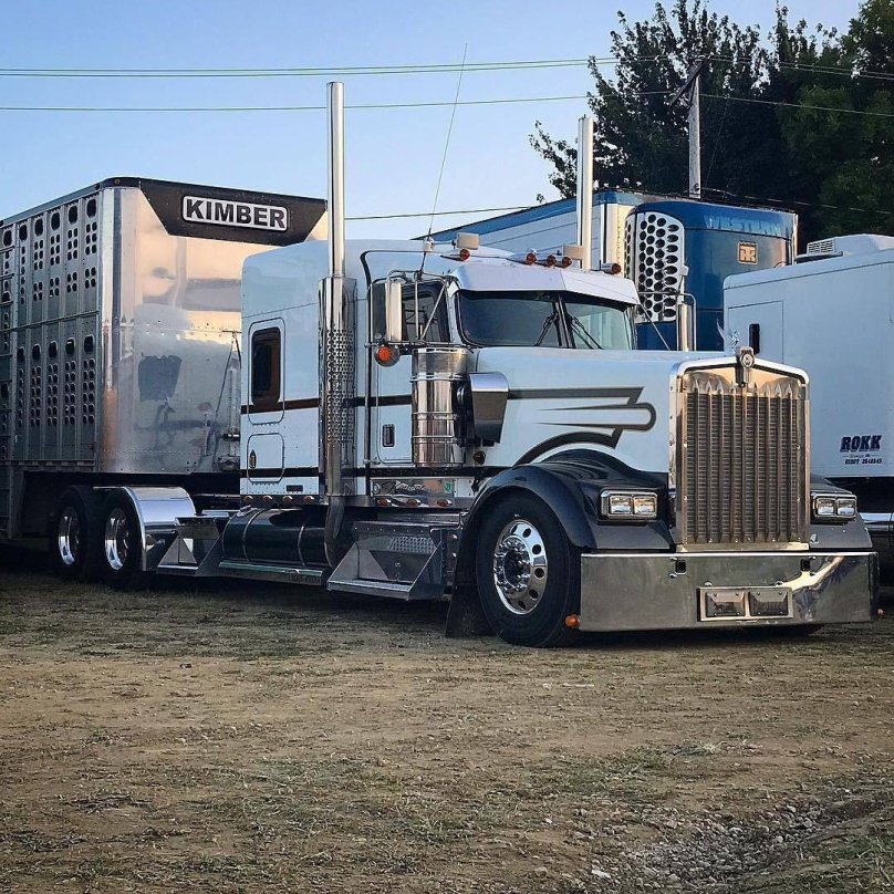 Kenworth w900l Custom
