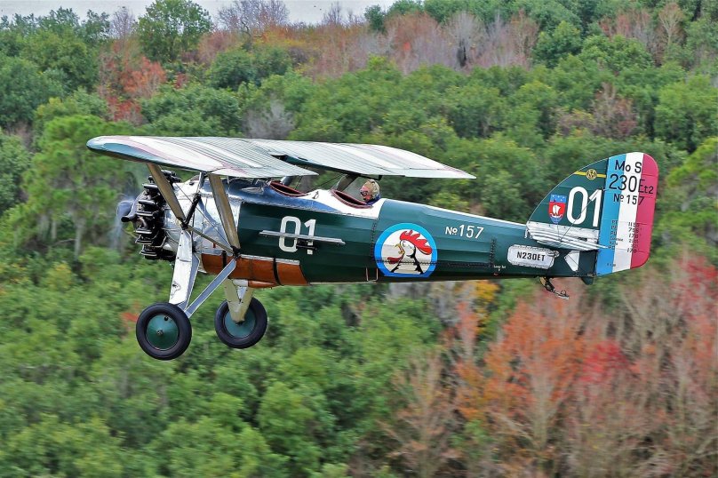 Morane Saulnier MS-230 окраски
