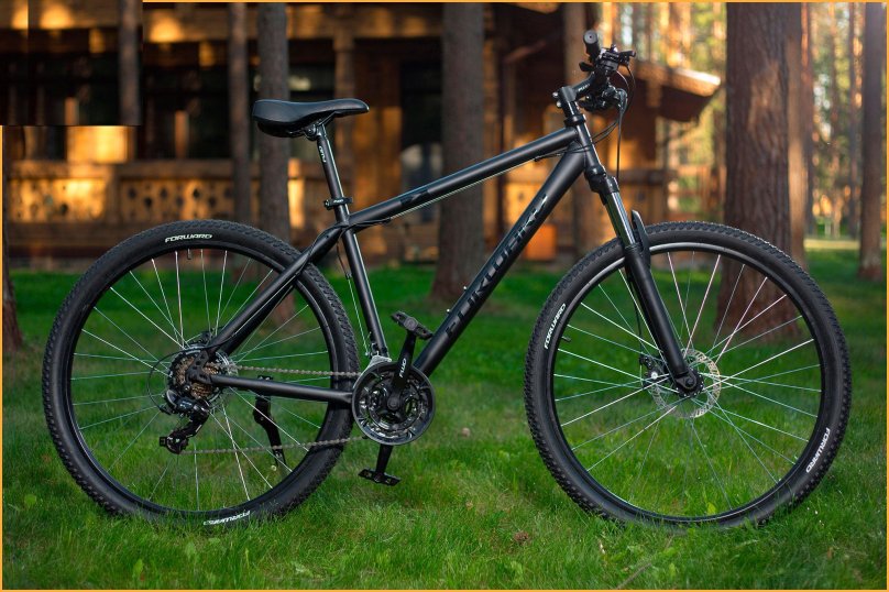 Forward Sporting 29 2.0 Disc