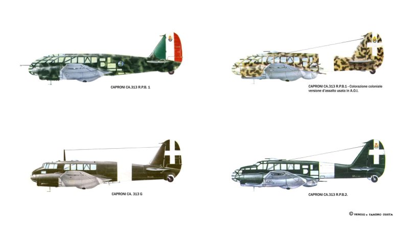 Самолёт Caproni CA.313