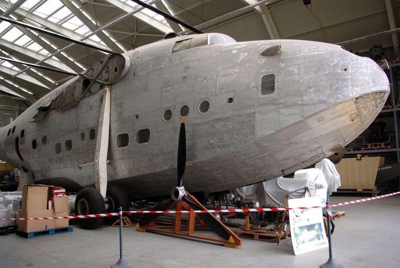 Шорт Сандерленд