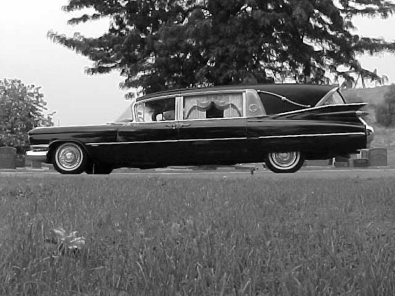 Hearse 1966