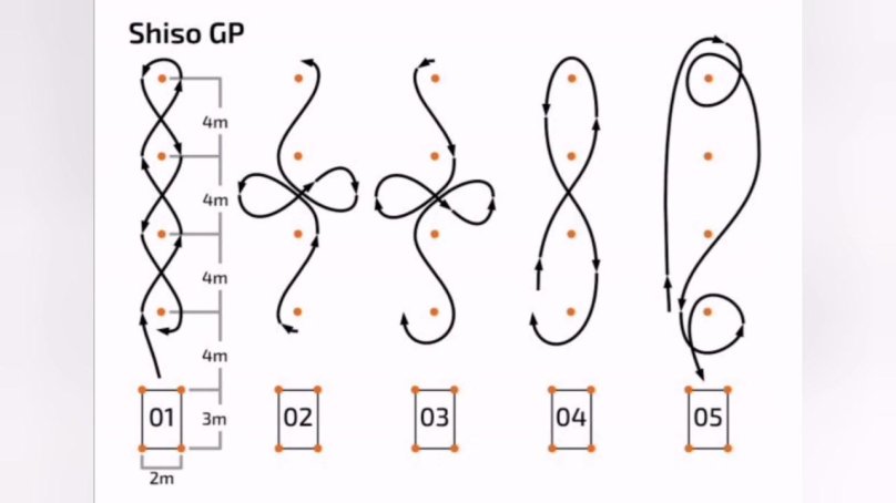 Gp8 Джимхана схема