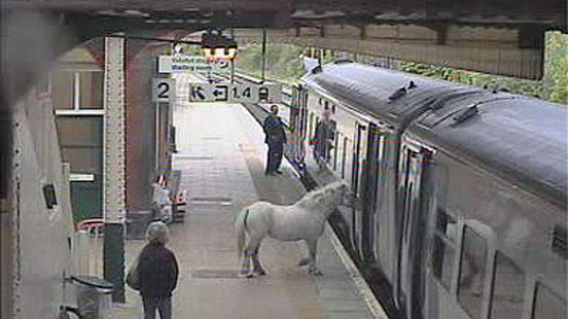 Общественный транспорт Мем