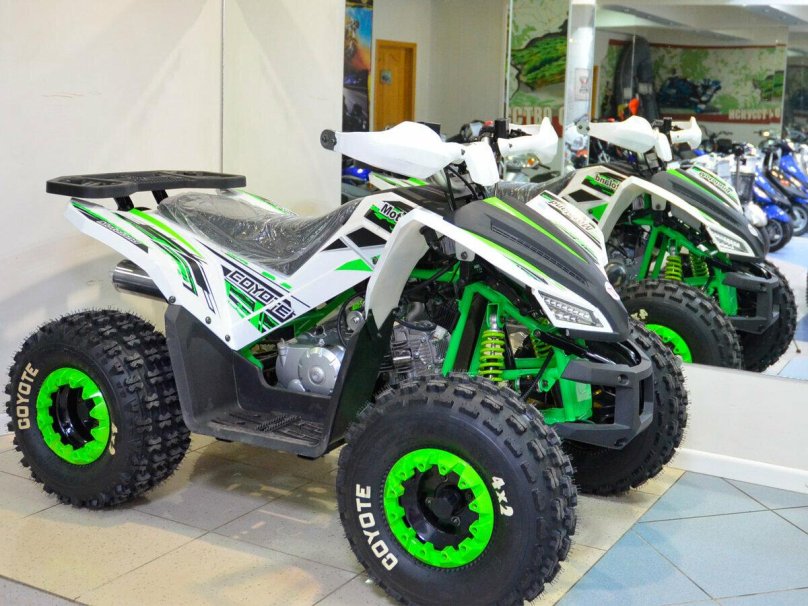 Yamaha Segway 300 ATV