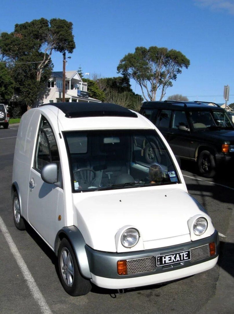 Nissan s-Cargo 161