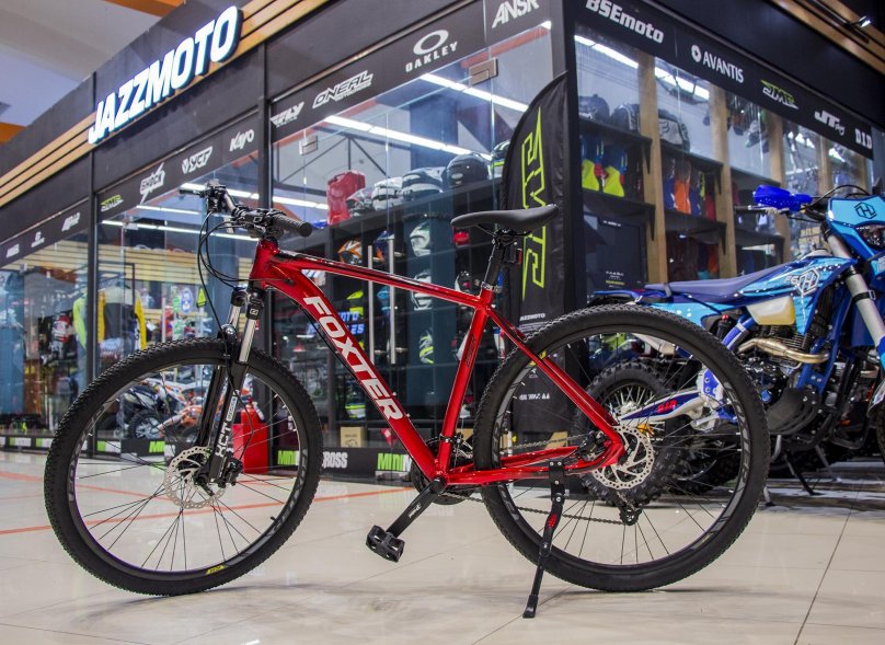 Foxter bike 29