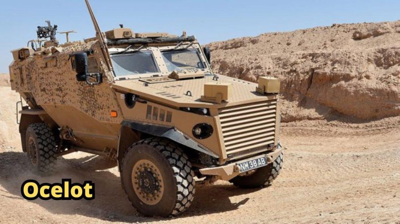 Mastiff armored personnel carrier