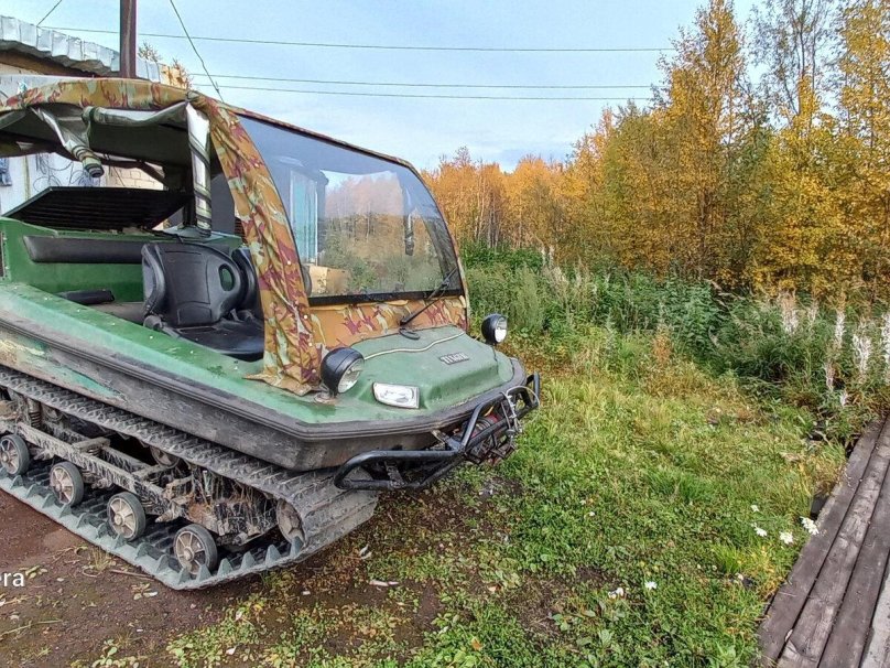 Viking all-terrain vehicle crawler