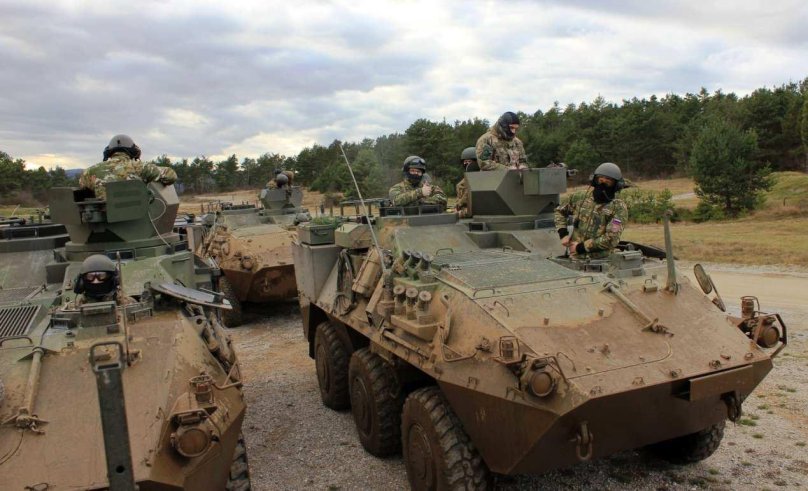 Pandur armored personnel carrier 1