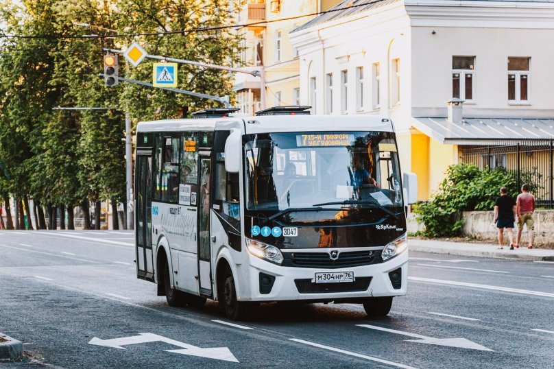 Paz-320436-04 vector next