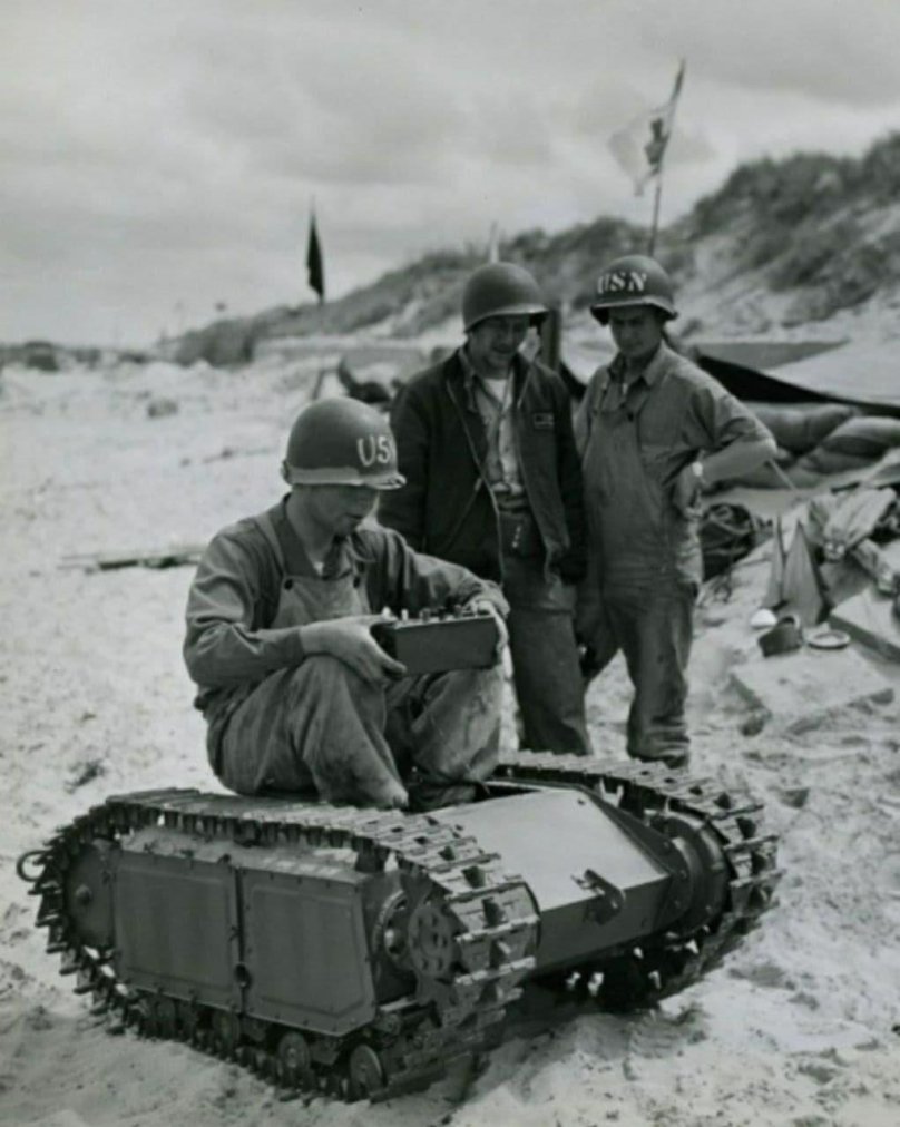 German wedge Goliath