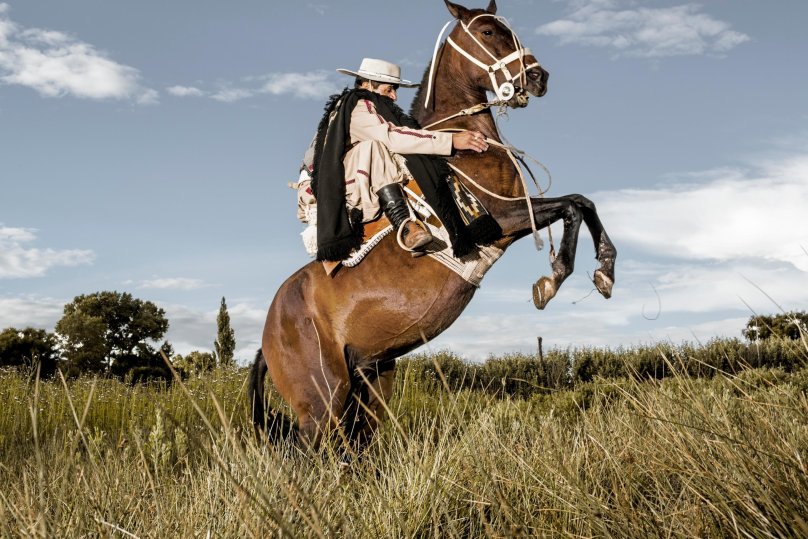 Argentine Gaucho Shepherds