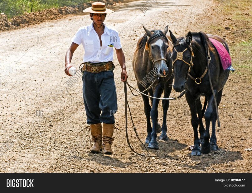 Gaucho Cowboys in Argentina