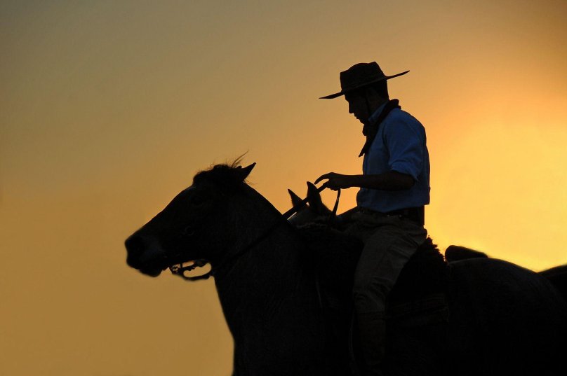 Argentine Gaucho Shepherds
