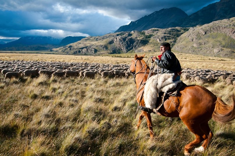 Gaucho Patagonia