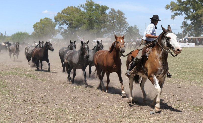 Gaucho Shepherds Argentina