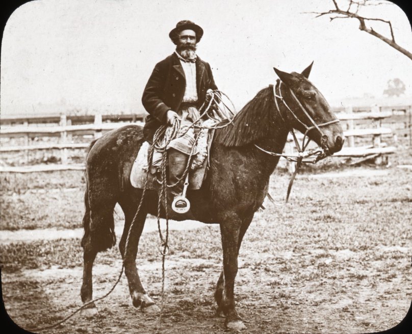 Gaucho 19th Century