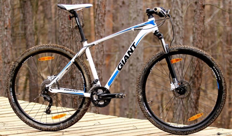 Giant Talon 29 3 2022