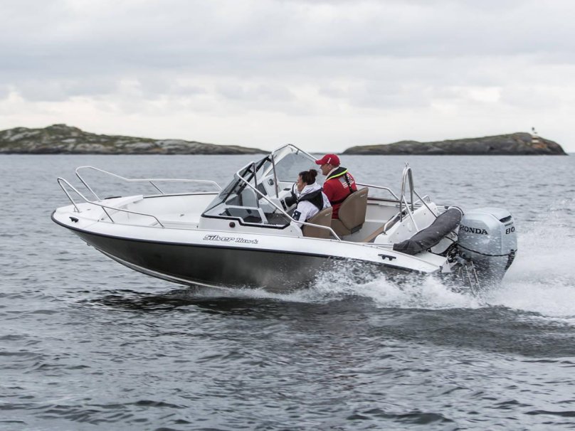 Сильвер Хавк 520